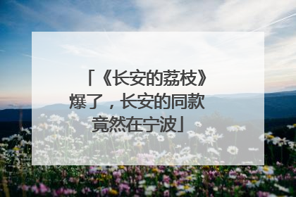 《长安的荔枝》爆了，长安的同款竟然在宁波