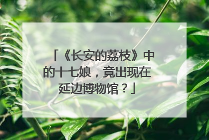 《长安的荔枝》中的十七娘，竟出现在延边博物馆？
