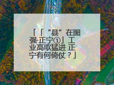 「“县”在图强·正宁①」工业高歌猛进 正宁有何倚仗？