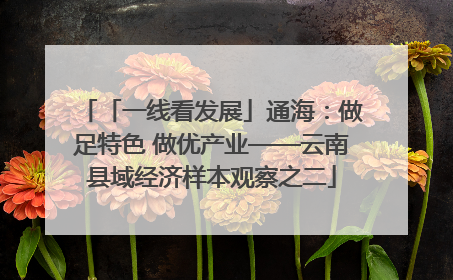 「一线看发展」通海：做足特色 做优产业——云南县域经济样本观察之二