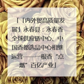 「内外贸高质量发展」永春县：永春香全球供应链中心、中国香都选品中心相继运营——一根香“点燃”百亿产业