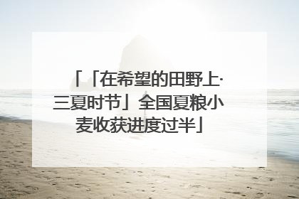 「在希望的田野上·三夏时节」全国夏粮小麦收获进度过半
