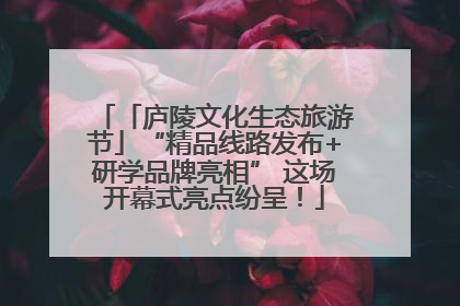 「庐陵文化生态旅游节」“精品线路发布+研学品牌亮相” 这场开幕式亮点纷呈！