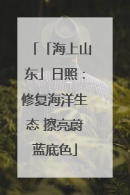 「海上山东」日照：修复海洋生态 擦亮蔚蓝底色