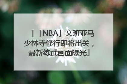 「NBA」文班亚马少林寺修行即将出关，最新练武画面曝光
