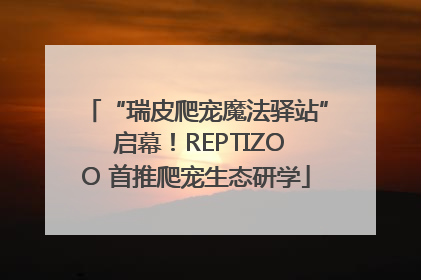 “瑞皮爬宠魔法驿站” 启幕！REPTIZOO 首推爬宠生态研学
