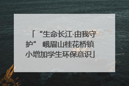 “生命长江·由我守护” 峨眉山桂花桥镇小增加学生环保意识