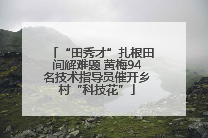 “田秀才”扎根田间解难题 黄梅94名技术指导员催开乡村“科技花”