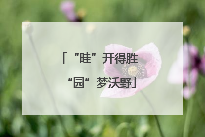 “畦”开得胜 “园”梦沃野