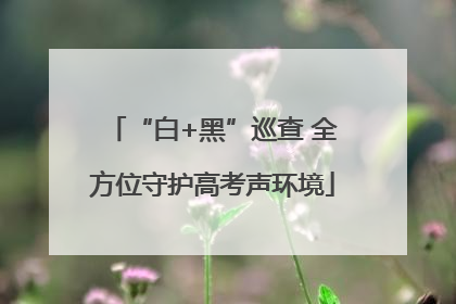 “白+黑”巡查 全方位守护高考声环境