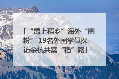 “禹上稻乡”海外“圈粉” 19名外国学员探访余杭共富“稻”路