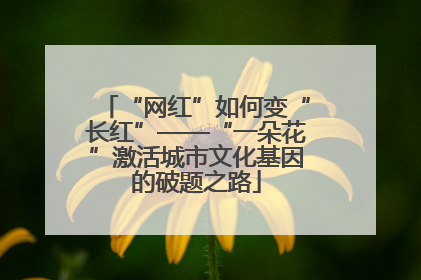 “网红”如何变“长红”——“一朵花”激活城市文化基因的破题之路