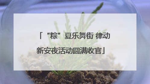 “粽”夏乐舞街 律动新安夜活动圆满收官