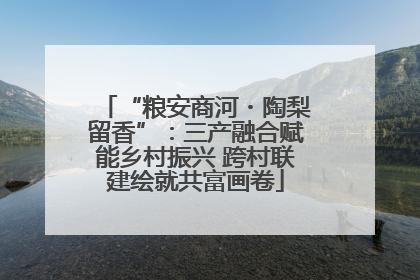 “粮安商河・陶梨留香”：三产融合赋能乡村振兴 跨村联建绘就共富画卷