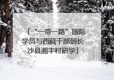 “一带一路”国际学员与西藏干部到长沙县湘丰村研学