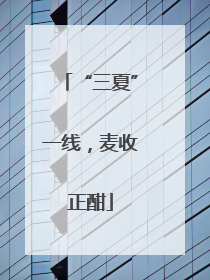 “三夏”一线，麦收正酣