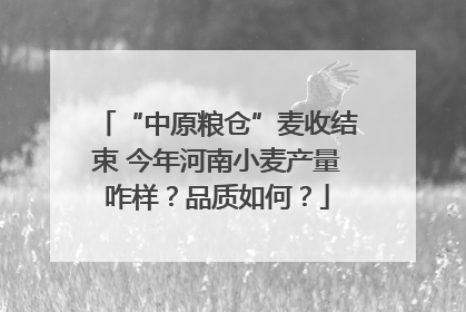 “中原粮仓”麦收结束 今年河南小麦产量咋样？品质如何？