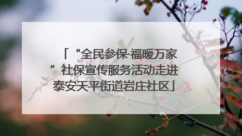 “全民参保·福暖万家”社保宣传服务活动走进泰安天平街道岩庄社区