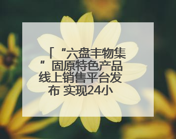 “六盘丰物集”固原特色产品线上销售平台发布 实现24小时内发货