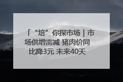 “培”你探市场｜市场供增需减 猪肉价同比降3元 未来40天便宜猪肉敞开吃
