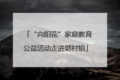 “向阳花”家庭教育公益活动走进塘村镇