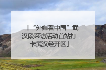 “外媒看中国”武汉段采访活动首站打卡武汉经开区