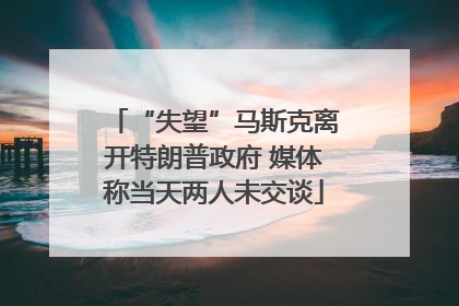 “失望”马斯克离开特朗普政府 媒体称当天两人未交谈
