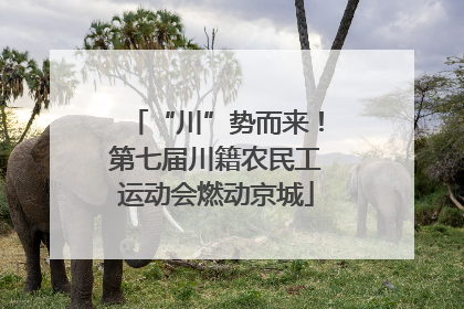“川”势而来！第七届川籍农民工运动会燃动京城