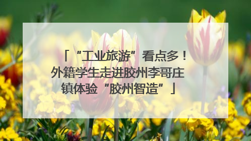 “工业旅游”看点多！外籍学生走进胶州李哥庄镇体验“胶州智造”