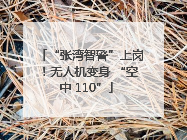“张湾智警”上岗！无人机变身 “空中 110”