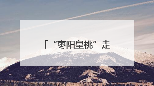 “枣阳皇桃”走进高校毕业季