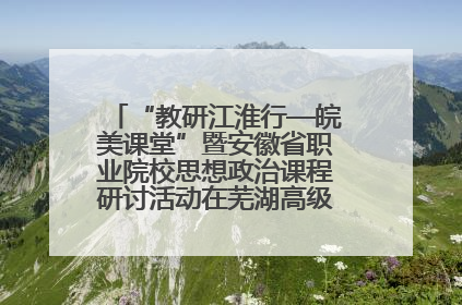 “教研江淮行—皖美课堂”暨安徽省职业院校思想政治课程研讨活动在芜湖高级职业技术学校举行