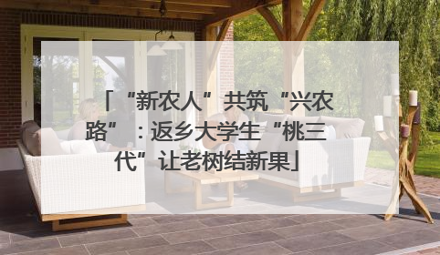 “新农人”共筑“兴农路”：返乡大学生“桃三代”让老树结新果