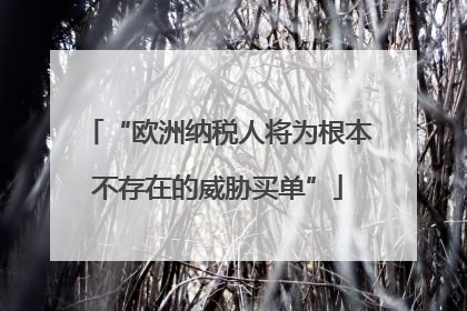 “欧洲纳税人将为根本不存在的威胁买单”