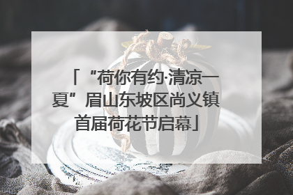 “荷你有约·清凉一夏”眉山东坡区尚义镇首届荷花节启幕