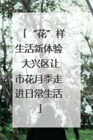 “花”样生活新体验 大兴区让市花月季走进日常生活