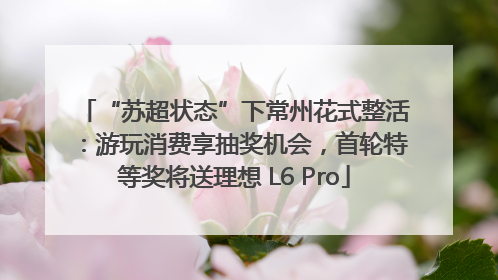 “苏超状态”下常州花式整活：游玩消费享抽奖机会，首轮特等奖将送理想 L6 Pro