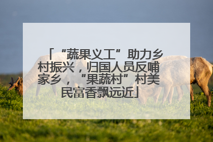 “蔬果义工”助力乡村振兴，归国人员反哺家乡，“果蔬村”村美民富香飘远近