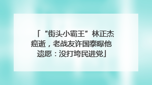 “街头小霸王”林正杰癌逝，老战友许国泰曝他遗愿：没打垮民进党
