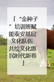 “金种子”培训班赋能泰安基层文化队伍 共绘文化惠民时代新卷