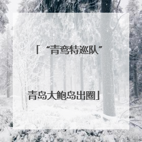 “青鸾特巡队”青岛大鲍岛出圈