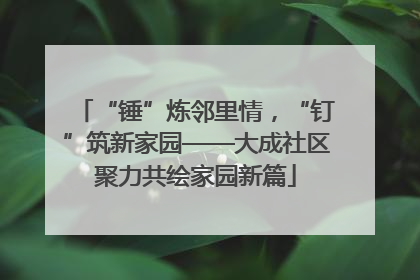 “锤”炼邻里情，“钉”筑新家园——大成社区聚力共绘家园新篇