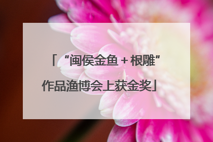 “闽侯金鱼＋根雕”作品渔博会上获金奖