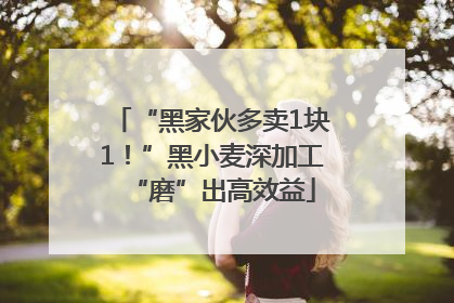 “黑家伙多卖1块1！”黑小麦深加工“磨”出高效益
