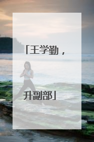 王学勤，升副部