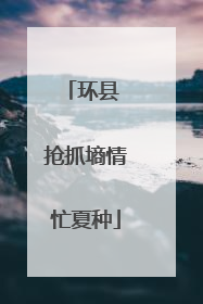 环县 抢抓墒情忙夏种