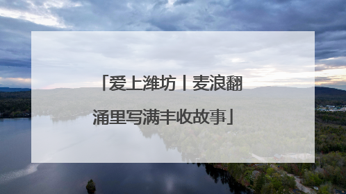 爱上潍坊丨麦浪翻涌里写满丰收故事