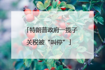 特朗普政府一揽子关税被“叫停”