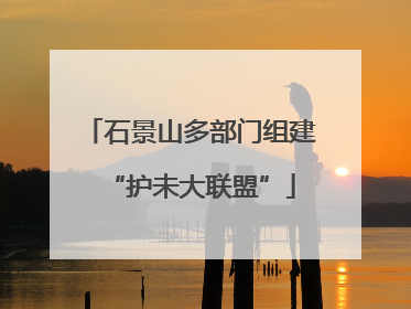 石景山多部门组建“护未大联盟”