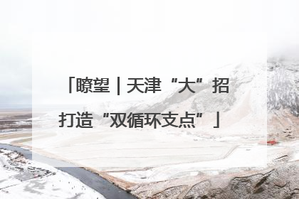 瞭望｜天津“大”招打造“双循环支点”